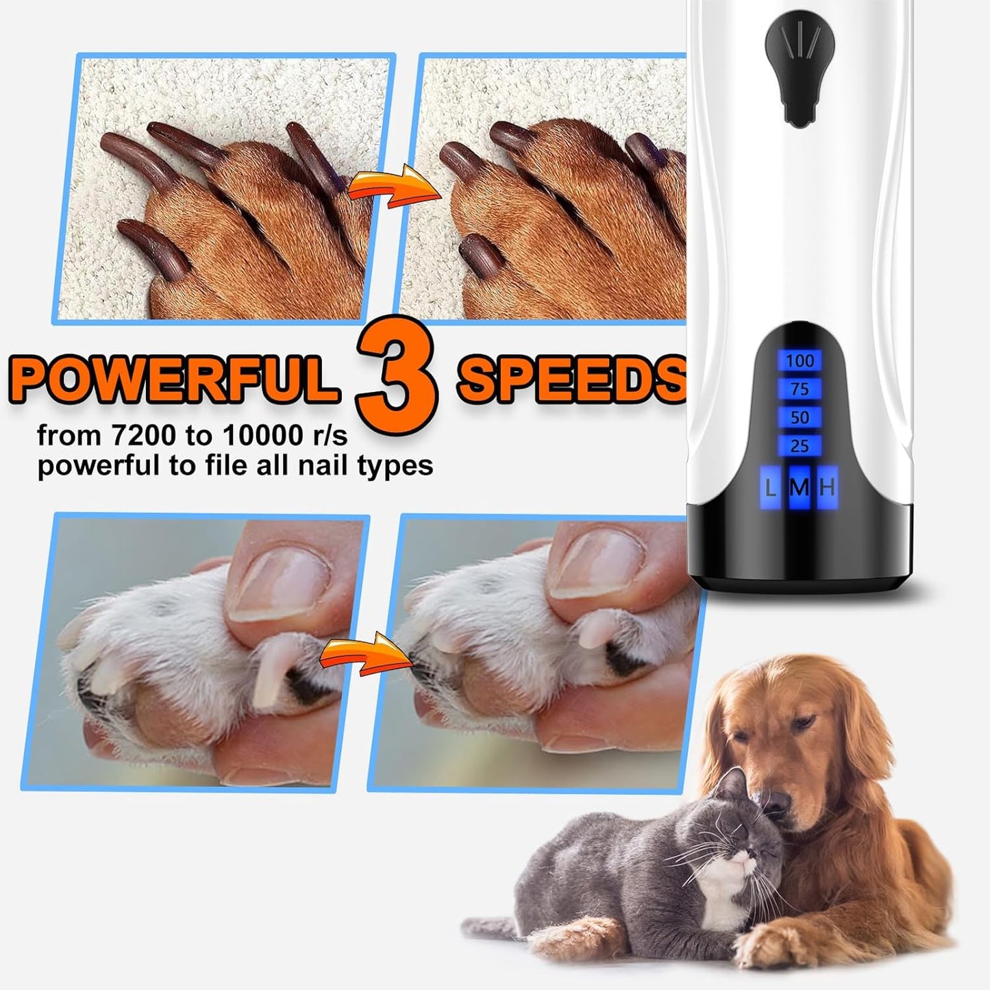 Dog & Cat Nail Care Kit, Quiet Electric Grinder with Light & Clippers (3 Speeds)