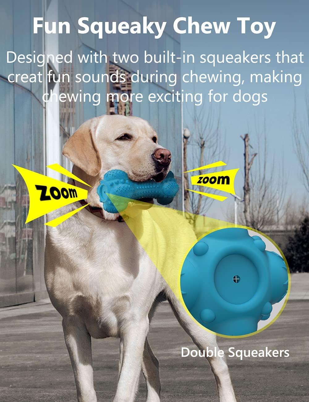 Squeaky Dog Chew Toy, Durable Rubber Bone with Toothbrush Design for Aggressive Chewers