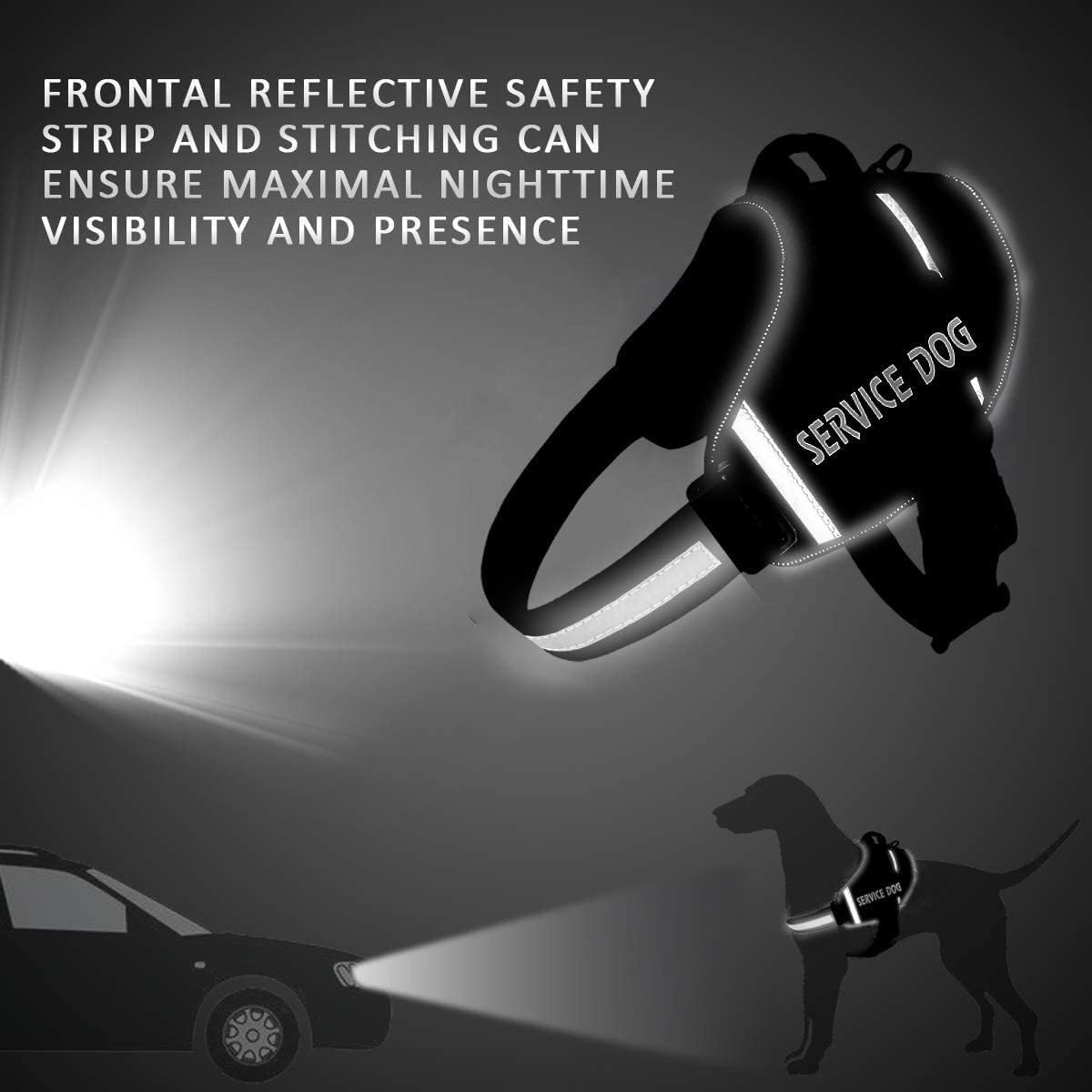 Personalized No-Pull Dog Harness & Leash Set Custom Name & Phone Number (XS–XXL, 9 Colors)