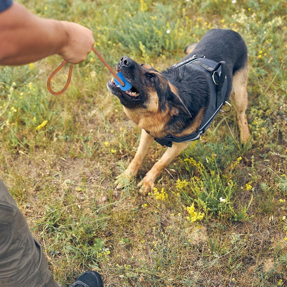 2-Pack Rope Dog Toys Durable Tug & Fetch Balls (6 cm, Blue & Red)
