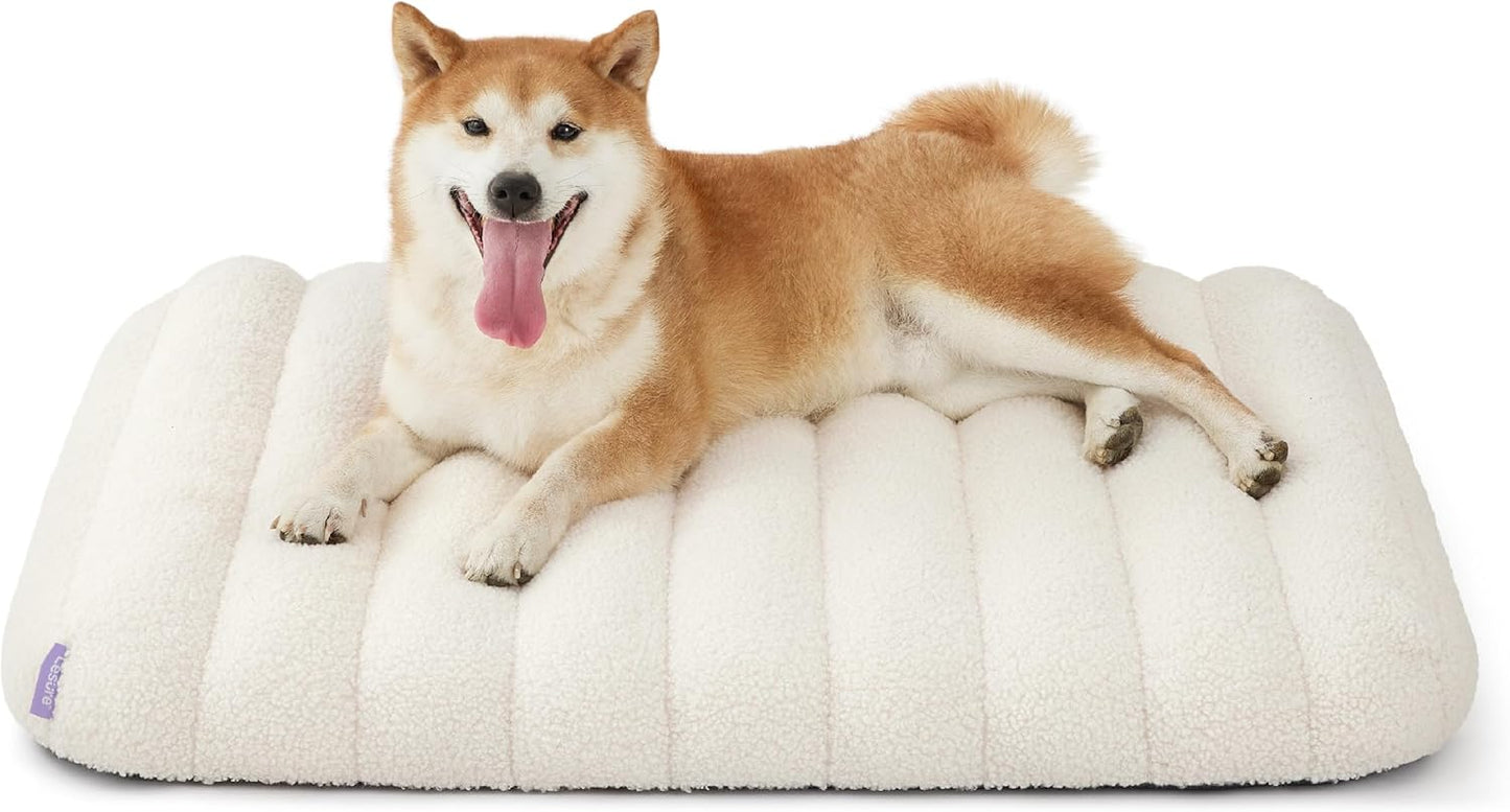 Orthopedic Dog Bed Medium, Waterproof with Washable Cover (30"x20", Cream)