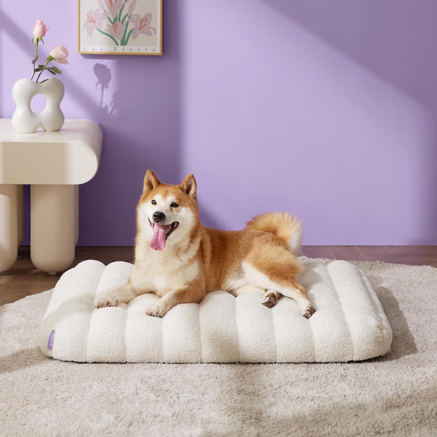 Orthopedic Dog Bed Medium, Waterproof with Washable Cover (30"x20", Cream)