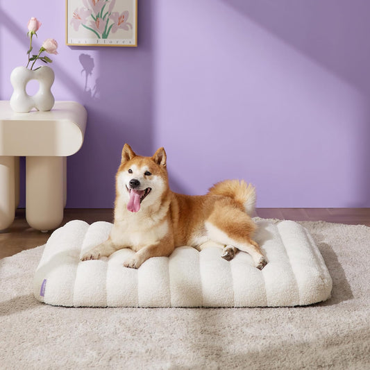 Orthopedic Dog Bed Medium, Waterproof with Washable Cover (30"x20", Cream)