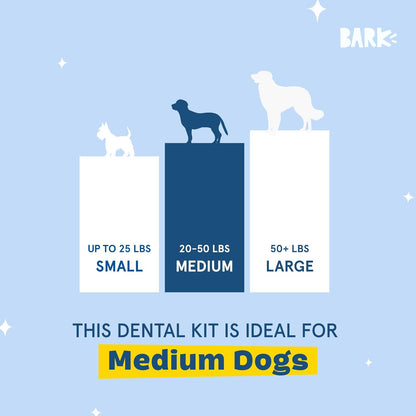BARK Dog Dental Kit, 30 Chew Sticks & Toothpaste (Medium Breeds)