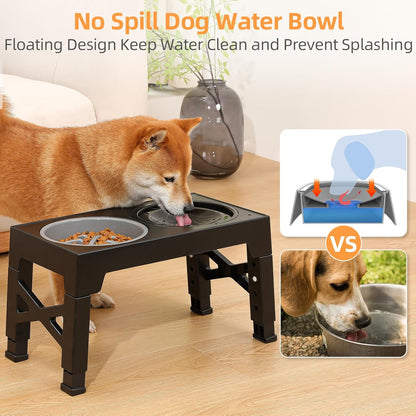 Elevated Dog Bowls 5 Height Adjustable Stand with Slow Feeder & No-Spill Water Bowl (Black)