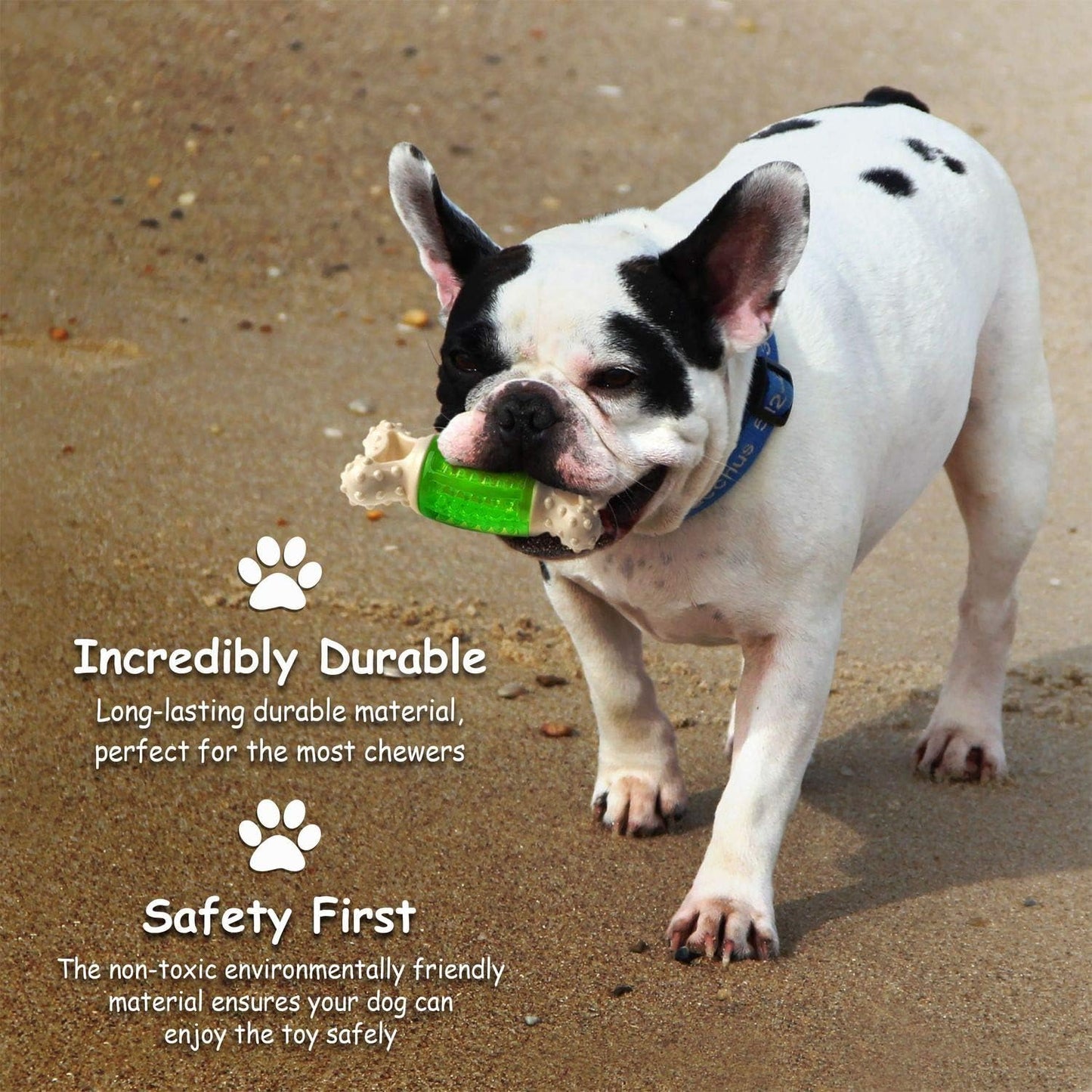 Squeaky Rubber Dog Toy Durable Bone-Shaped Dental Chew for Small & Medium Dogs