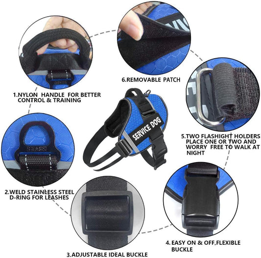 Personalized No-Pull Dog Harness & Leash Set Custom Name & Phone Number (XS–XXL, 9 Colors)