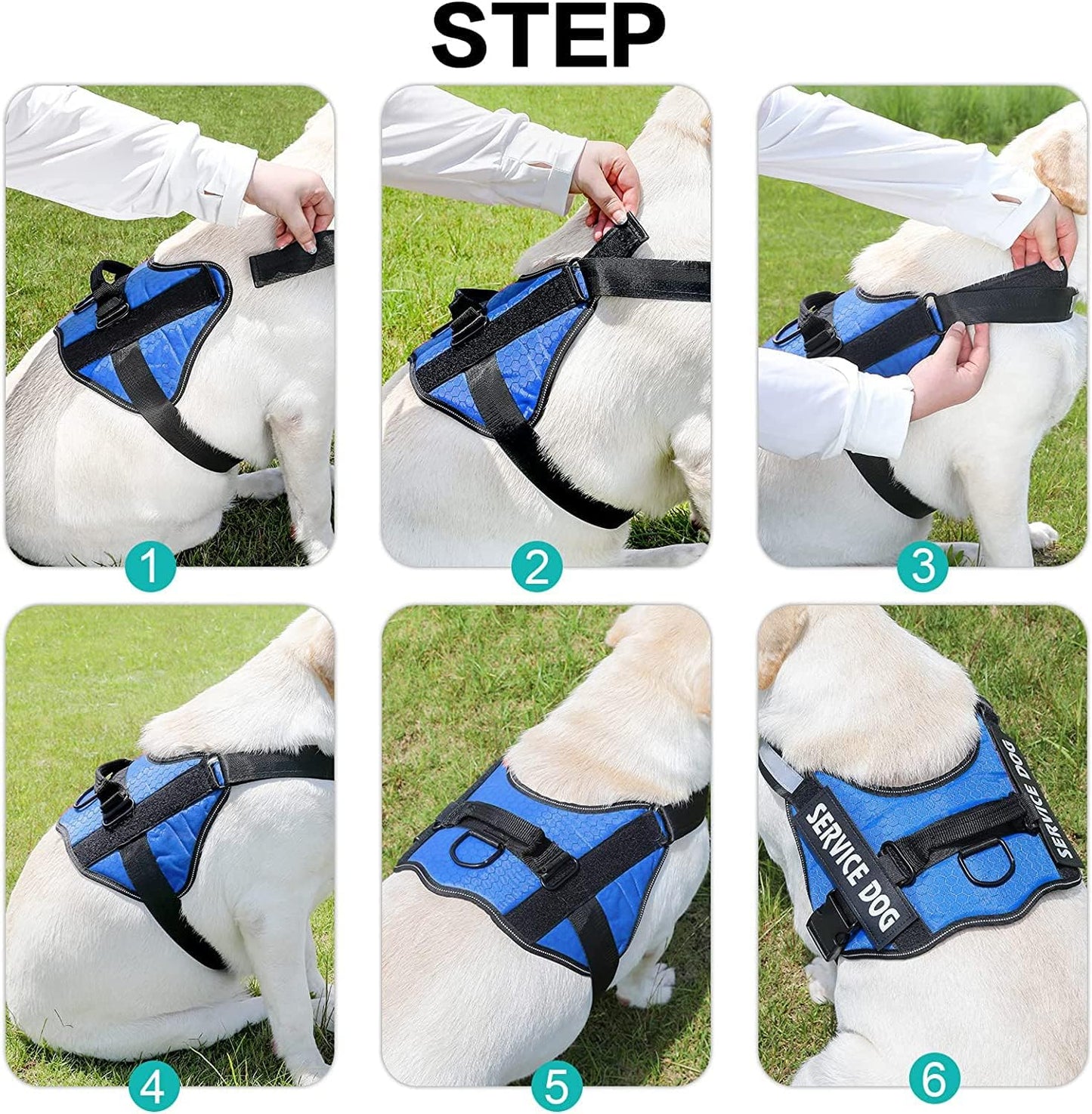 Personalized No-Pull Dog Harness & Leash Set Custom Name & Phone Number (XS–XXL, 9 Colors)