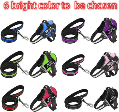 Personalized No-Pull Dog Harness & Leash Set Custom Name & Phone Number (XS–XXL, 9 Colors)