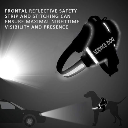 Personalized No-Pull Dog Harness & Leash Set Custom Name & Phone Number (XS–XXL, 9 Colors)