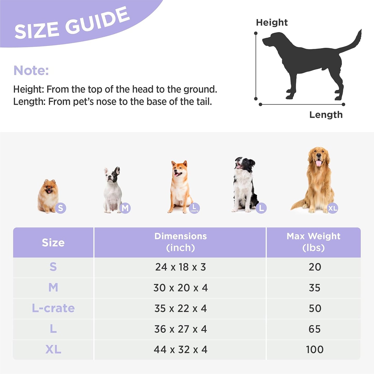 Orthopedic Dog Bed Medium, Waterproof with Washable Cover (30"x20", Cream)