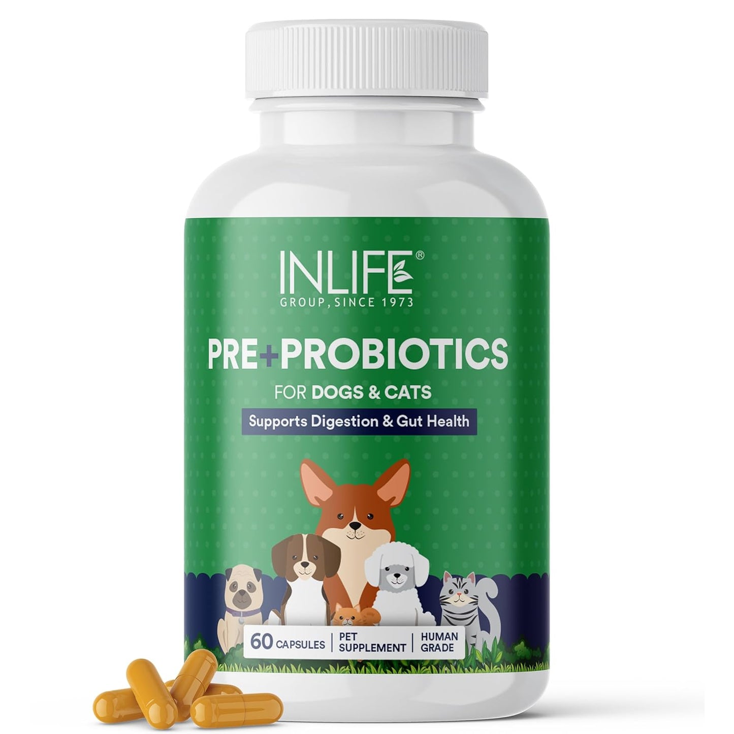 INLIFE Prebiotics & Probiotics for Dogs & Cats, Digestive Health & Immunity Support (60 Caps)