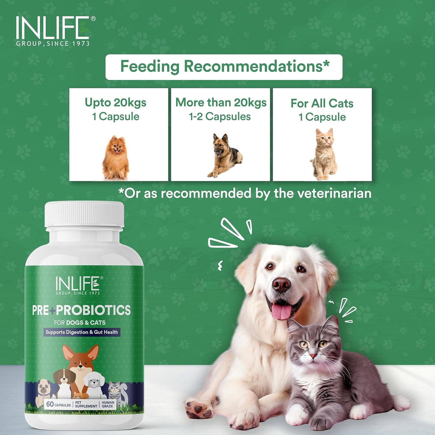 INLIFE Prebiotics & Probiotics for Dogs & Cats, Digestive Health & Immunity Support (60 Caps)